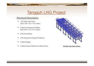 Module Lng Train Pipe Rack Tangguh LNG Project | PDF