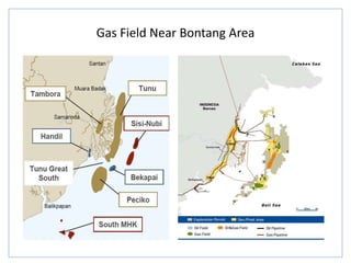 Gas Field Near Bontang Area
 