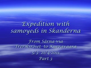 Expedition with samoyeds in Skanderna From Särna via Treriksröset  to Kurravaara 5/3- 21/4-2011 Part 3 