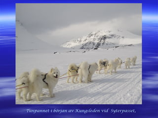 Tiospannet i början av Kungsleden vid Syterpasset,
 