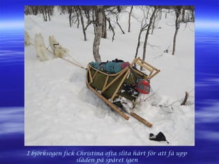 I björksogen fick Christina ofta slita hårt för att få upp
släden på spåret igen
 