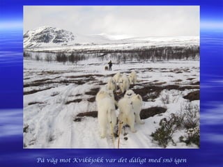 På väg mot Kvikkjokk var det dåligt med snö igen
 