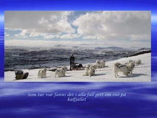 Som tur var fanns det i alla fall gott om snö på
kalfjället
 