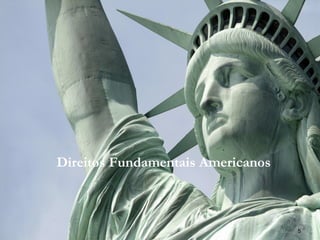 Direitos Fundamentais Americanos 