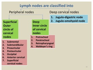 Lymph nodes are classified into
Peripheral nodes Deep cervical nodes
1. Jugulo-digastric node
2. Jugulo-omohyoid node
1. Pretracheal
2. Paratracheal
3. Retropharyngeal
4. Waldeyer’s ring
1. Submental
2. Submandibular
3. Preauricular
4. Postauricular
5. Occipital
6. Anterior cervical
7. Superficial
cervical nodes
Deep
Inner circle
of cervical
nodes
Superficial
Outer
circle of
cervical
nodes
15
 
