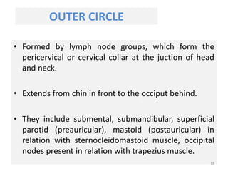 OUTER CIRCLE
• Formed by lymph node groups, which form the
pericervical or cervical collar at the juction of head
and neck.
• Extends from chin in front to the occiput behind.
• They include submental, submandibular, superficial
parotid (preauricular), mastoid (postauricular) in
relation with sternocleidomastoid muscle, occipital
nodes present in relation with trapezius muscle.
18
 