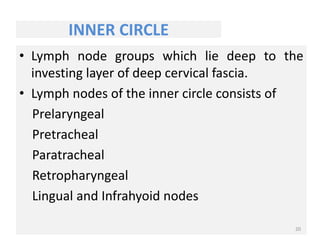 INNER CIRCLE
• Lymph node groups which lie deep to the
investing layer of deep cervical fascia.
• Lymph nodes of the inner circle consists of
Prelaryngeal
Pretracheal
Paratracheal
Retropharyngeal
Lingual and Infrahyoid nodes
20
 