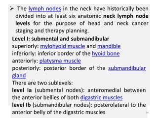  The lymph nodes in the neck have historically been
divided into at least six anatomic neck lymph node
levels for the purpose of head and neck cancer
staging and therapy planning.
Level I: submental and submandibular
superiorly: mylohyoid muscle and mandible
inferiorly: inferior border of the hyoid bone
anteriorly: platysma muscle
posteriorly: posterior border of the submandibular
gland
There are two sublevels:
level Ia (submental nodes): anteromedial between
the anterior bellies of both digastric muscles
level Ib (submandibular nodes): posterolateral to the
anterior belly of the digastric muscles 34
 