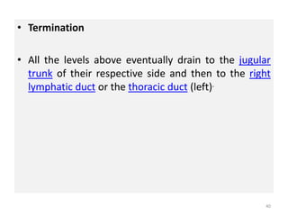 • Termination
• All the levels above eventually drain to the jugular
trunk of their respective side and then to the right
lymphatic duct or the thoracic duct (left).
40
 