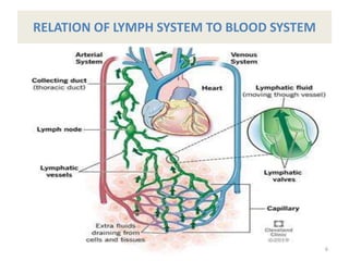 RELATION OF LYMPH SYSTEM TO BLOOD SYSTEM
6
 