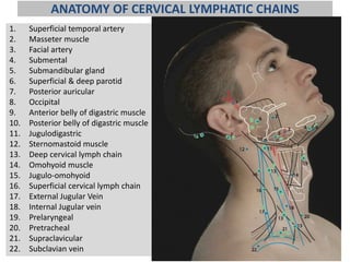 ANATOMY OF CERVICAL LYMPHATIC CHAINS
1. Superficial temporal artery
2. Masseter muscle
3. Facial artery
4. Submental
5. Submandibular gland
6. Superficial & deep parotid
7. Posterior auricular
8. Occipital
9. Anterior belly of digastric muscle
10. Posterior belly of digastric muscle
11. Jugulodigastric
12. Sternomastoid muscle
13. Deep cervical lymph chain
14. Omohyoid muscle
15. Jugulo-omohyoid
16. Superficial cervical lymph chain
17. External Jugular Vein
18. Internal Jugular vein
19. Prelaryngeal
20. Pretracheal
21. Supraclavicular
22. Subclavian vein 62
 