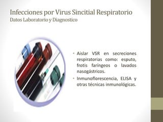 InfeccionesporVirus Sincitial Respiratorio
DatosLaboratorioyDiagnostico
• Aislar VSR en secreciones
respiratorias como: esputo,
frotis faríngeos o lavados
nasogástricos.
• Inmunoflorescencia, ELISA y
otras técnicas inmunológicas.
 