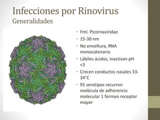 Infecciones por Rinovirus
Generalidades
• Fml. Picornaviridae
• 15-30 nm
• No envoltura, RNA
monocatenario
• Lábiles ácidos, inactivan pH
<3
• Crecen conductos nasales 33-
34°C
• 91 serotipos recurren
molécula de adherencia
molecular 1 forman receptor
mayor
 