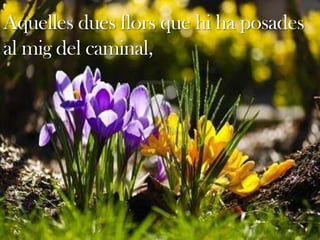 L’ànima de les flors