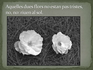 L’ànima de les flors