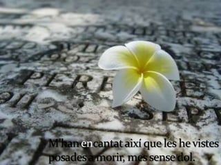 L’ànima de les flors