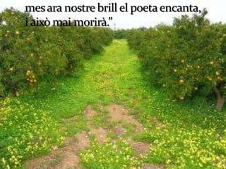 L’ànima de les flors