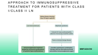 A P P R O A C H T O I M M U N O S U P P R E S S I V E
T R E AT M E N T F O R PAT I E N T S W I T H C L A S S
I / C L A S S I I L N
MMF/AZA/CNI
 