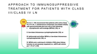A P P R O A C H T O I M M U N O S U P P R E S S I V E
T R E AT M E N T F O R PAT I E N T S W I T H C L A S S
I I I / C L A S S I V L N
 