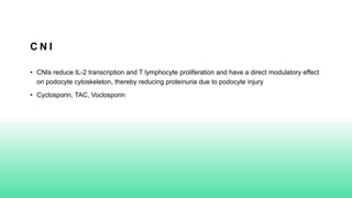 C N I
• CNIs reduce IL-2 transcription and T lymphocyte proliferation and have a direct modulatory effect
on podocyte cytoskeleton, thereby reducing proteinuria due to podocyte injury
• Cyclosporin, TAC, Voclosporin
 