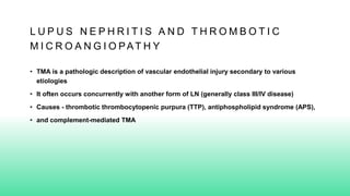 L U P U S N E P H R I T I S A N D T H R O M B O T I C
M I C R O A N G I O PAT H Y
• TMA is a pathologic description of vascular endothelial injury secondary to various
etiologies
• It often occurs concurrently with another form of LN (generally class III/IV disease)
• Causes - thrombotic thrombocytopenic purpura (TTP), antiphospholipid syndrome (APS),
• and complement-mediated TMA
 
