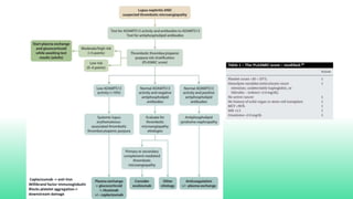 Caplacizumab -> anti-Von
Willibrand factor immunoglobulin
Blocks platelet aggregation->
downstream damage
 