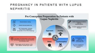 P R E G N A N C Y I N PAT I E N T S W I T H L U P U S
N E P H R I T I S
 