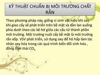 Lên men | PPTX