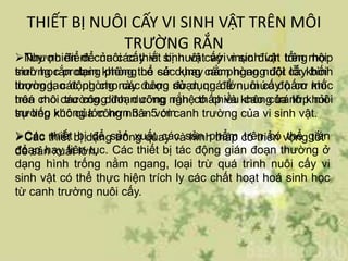 Lên men | PPTX