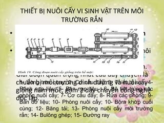 Lên men | PPTX