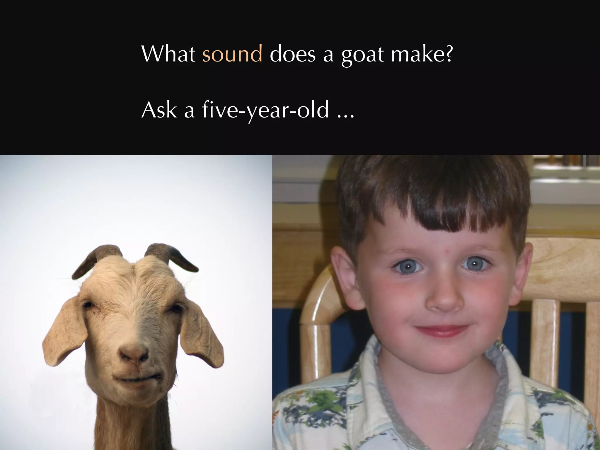 What  sound  does a goat make? Ask a five-year-old ... 