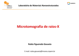 Laboratório de Materiais Nanoestruturados
Microtomografia de raios-X
Rubia Figueredo Gouveia
E-mail: rubia.gouveia@lnnano.cnpem.br
 