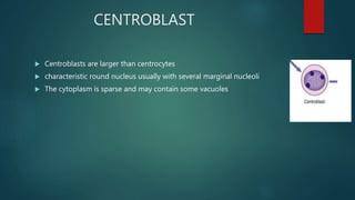 approach to lymph node cytology part 1 | PPTX