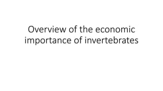 Overview of the economic
importance of invertebrates
 