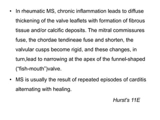 • In rheumatic MS, chronic inflammation leads to diffuse
thickening of the valve leaflets with formation of fibrous
tissue and/or calcific deposits. The mitral commissures
fuse, the chordae tendineae fuse and shorten, the
valvular cusps become rigid, and these changes, in
turn,lead to narrowing at the apex of the funnel-shaped
(“fish-mouth”)valve.
• MS is usually the result of repeated episodes of carditis
alternating with healing.
Hurst's 11E
 