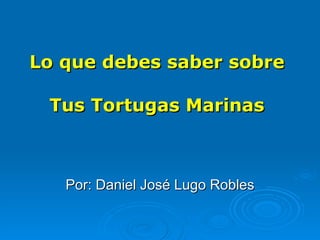 Lo  que   debes  saber sobre  Tus Tortugas Marinas   Por: Daniel José Lugo Robles 