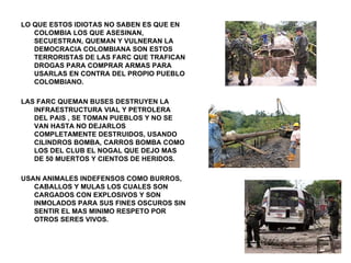 LO QUE ESTOS IDIOTAS NO SABEN ES QUE EN COLOMBIA LOS QUE ASESINAN, SECUESTRAN, QUEMAN Y VULNERAN LA DEMOCRACIA COLOMBIANA SON ESTOS TERRORISTAS DE LAS FARC QUE TRAFICAN DROGAS PARA COMPRAR ARMAS PARA USARLAS EN CONTRA DEL PROPIO PUEBLO COLOMBIANO. LAS FARC QUEMAN BUSES DESTRUYEN LA INFRAESTRUCTURA VIAL Y PETROLERA DEL PAIS , SE TOMAN PUEBLOS Y NO SE VAN HASTA NO DEJARLOS COMPLETAMENTE DESTRUIDOS, USANDO CILINDROS BOMBA, CARROS BOMBA COMO LOS DEL CLUB EL NOGAL QUE DEJO MAS DE 50 MUERTOS Y CIENTOS DE HERIDOS.  USAN ANIMALES INDEFENSOS COMO BURROS, CABALLOS Y MULAS LOS CUALES SON CARGADOS CON EXPLOSIVOS Y SON INMOLADOS PARA SUS FINES OSCUROS SIN SENTIR EL MAS MINIMO RESPETO POR OTROS SERES VIVOS. 