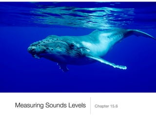 Measuring Sounds Levels Chapter 15.6
 
