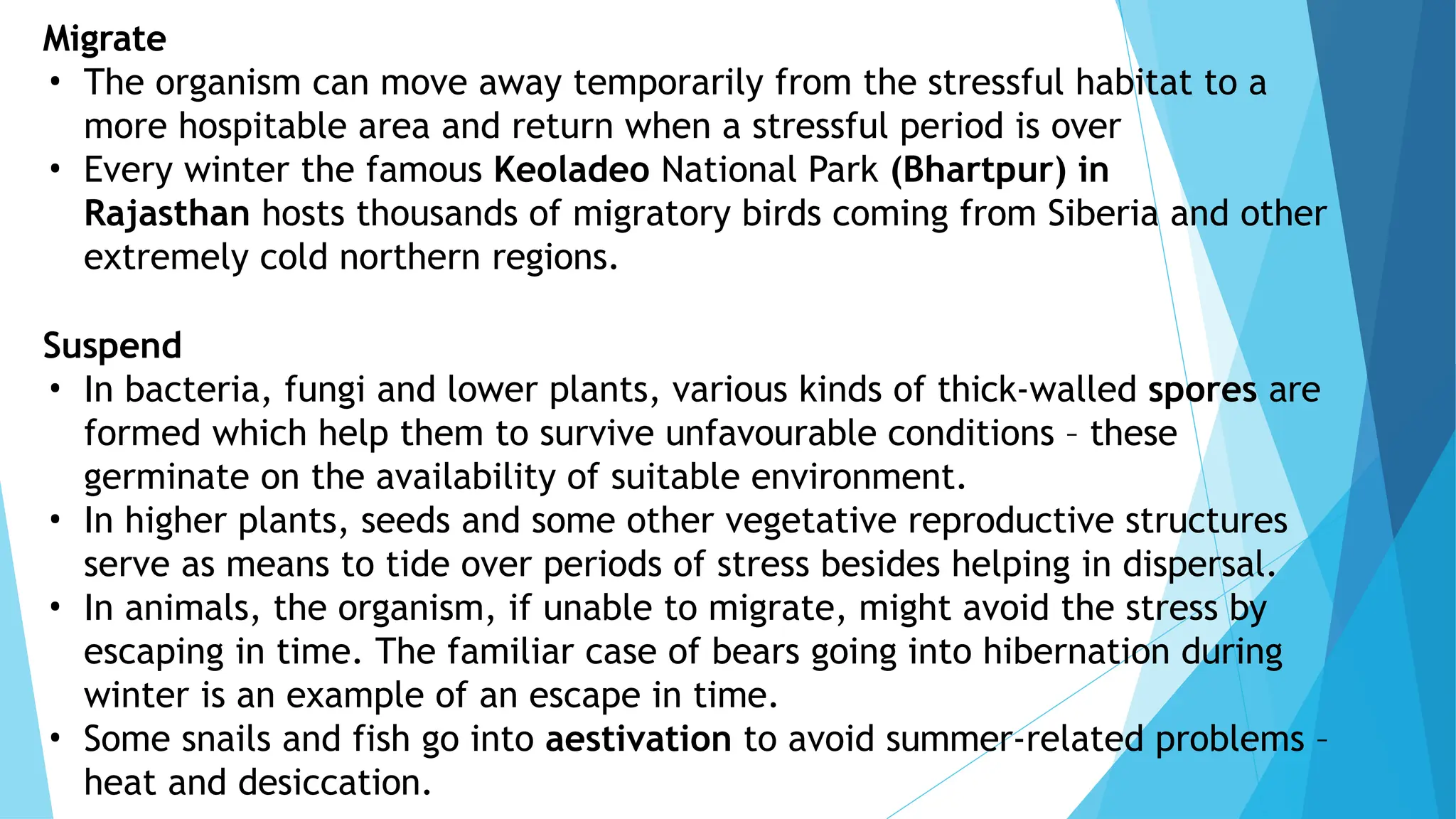 LO1- Basic Concepts of Ecology (1) (1).pptx