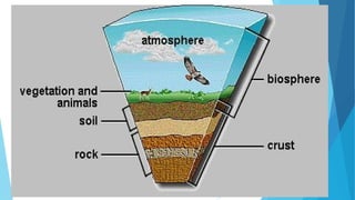 LO1- Basic Concepts of Ecology (1) (1).pptx