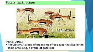 LO1- Basic Concepts of Ecology (1) (1).pptx