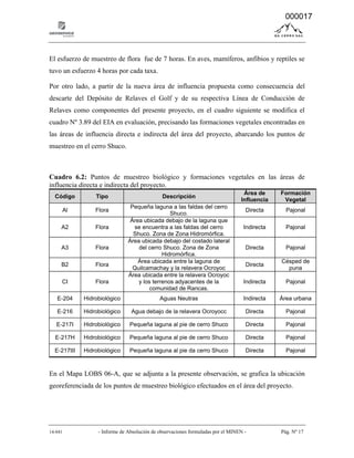 14-041 - Informe de Absolución de observaciones formuladas por el MINEN - Pág. Nº 17
El esfuerzo de muestreo de flora fue de 7 horas. En aves, mamíferos, anfibios y reptiles se
tuvo un esfuerzo 4 horas por cada taxa.
Por otro lado, a partir de la nueva área de influencia propuesta como consecuencia del
descarte del Depósito de Relaves el Golf y de su respectiva Línea de Conducción de
Relaves como componentes del presente proyecto, en el cuadro siguiente se modifica el
cuadro Nº 3.89 del EIA en evaluación, precisando las formaciones vegetales encontradas en
las áreas de influencia directa e indirecta del área del proyecto, abarcando los puntos de
muestreo en el cerro Shuco.
Cuadro 6.2: Puntos de muestreo biológico y formaciones vegetales en las áreas de
influencia directa e indirecta del proyecto.
Código Tipo Descripción
Área de
Influencia
Formación
Vegetal
Al Flora
Pequeña laguna a las faldas del cerro
Shuco.
Directa Pajonal
A2 Flora
Área ubicada debajo de la laguna que
se encuentra a las faldas del cerro
Shuco. Zona de Zona Hidromórfica.
Indirecta Pajonal
A3 Flora
Área ubicada debajo del costado lateral
del cerro Shuco. Zona de Zona
Hidromórfica.
Directa Pajonal
B2 Flora
Área ubicada entre la laguna de
Quilcamachay y la relavera Ocroyoc
Directa
Césped de
puna
CI Flora
Área ubicada entre la relavera Ocroyoc
y los terrenos adyacentes de la
comunidad de Rancas.
Indirecta Pajonal
E‐204 Hidrobiológico Aguas Neutras Indirecta Área urbana
E‐216 Hidrobiológico Agua debajo de la relavera Ocroyocc Directa Pajonal
E‐217I Hidrobiológico Pequeña laguna al pie de cerro Shuco Directa Pajonal
E‐217H Hidrobiológico Pequeña laguna al pie de cerro Shuco Directa Pajonal
E‐217III Hidrobiológico Pequeña laguna al pie da cerro Shuco Directa Pajonal
En el Mapa LOBS 06-A, que se adjunta a la presente observación, se grafica la ubicación
georeferenciada de los puntos de muestreo biológico efectuados en el área del proyecto.
000017
 