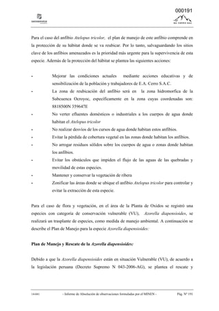 14-041 - Informe de Absolución de observaciones formuladas por el MINEN - Pág. Nº 191
Para el caso del anfibio Atelopus tricolor, el plan de manejo de este anfibio comprende en
la protección de su hábitat donde se va reubicar. Por lo tanto, salvaguardando los sitios
clave de los anfibios amenazados es la prioridad más urgente para la supervivencia de esta
especie. Además de la protección del hábitat se plantea las siguientes acciones:
- Mejorar las condiciones actuales mediante acciones educativas y de
sensibilización de la población y trabajadores de E.A. Cerro S.A.C.
- La zona de reubicación del anfibio será en la zona hidromorfica de la
Subcuenca Ocroyoc, específicamente en la zona cuyas coordenadas son:
8818500N 359647E
- No verter efluentes domésticos o industriales a los cuerpos de agua donde
habitan el Atelopus tricolor
- No realizar desvíos de los cursos de agua donde habitan estos anfibios.
- Evitar la pérdida de cobertura vegetal en las zonas donde habitan los anfibios.
- No arrogar residuos sólidos sobre los cuerpos de agua o zonas donde habitan
los anfibios.
- Evitar los obstáculos que impiden el flujo de las aguas de las quebradas y
movilidad de estas especies.
- Mantener y conservar la vegetación de ribera
- Zonificar las áreas donde se ubique el anfibio Atelopus tricolor para controlar y
evitar la extracción de esta especie.
Para el caso de flora y vegetación, en el área de la Planta de Oxidos se registró una
especies con categoría de conservación vulnerable (VU), Azorella diapensioides, se
realizará un trasplante de especies, como medida de manejo ambiental. A continuación se
describe el Plan de Manejo para la especie Azorella diapensioides:
Plan de Manejo y Rescate de la Azorella diapensioides:
Debido a que la Azorella diapensioides están en situación Vulnerable (VU), de acuerdo a
la legislación peruana (Decreto Supremo N 043-2006-AG), se plantea el rescate y
000191
 