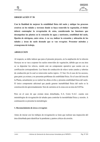 14-041 - Informe de Absolución de observaciones formuladas por el MINEN - Pág. Nº 205
OBSERVACIÓN N° 58
Con la finalidad de mejorar la estabilidad física del suelo y mitigar los procesos
erosivos en los taludes y terrenos donde se haya removido la vegetación, el titular
deberá contemplar la revegetación de estos, considerando las funciones que
desempeñan las plantas en la retención de agua y nutrientes, estabilidad del suelo,
fijación de nitrógeno, entre otras. A su vez, indicar la extensión y ubicación de los
taludes y áreas de suelo desnudo que se van revegetar. Presentar métodos y
cronograma de trabajo.
ABSOLUCION
Al respecto, se debe indicar que para el presente proyecto, en la ampliación de la relavera
Ocroyoc no se van a exponer los suelos removidos de vegetación, debido que en esa área
se va depositar los relaves, siendo este un componente operativo que cuenta con su
certificación correspondiente. Las líneas de conducción de relave serán canales y tuberías
de conducción por la cual se removerán suelos (aprox. 2.5 ha). En el caso de los accesos,
gran parte ya existen y no presentan problemas de estabilidad física. En el caso del área de
la Planta, actualmente ya se realizó las obras civiles y presenta estabilidad física del suelo.
El único componente adicional que puede generar inestabilidad física del suelo es la
construcción de aproximadamente 1km de carretera en la zona con un área de 0.69 ha.
Pero en el caso de que existan áreas disturbadas, E.A. Cerro S.A.C. cuenta con
metodologías de revegetación de taludes para controlar la inestabilidad física y erosión. A
continuación se presenta la metodología:
1. Reconocimiento de área a revegetar.
Antes de iniciar con los trabajos de revegetación se tiene que realizar una inspección del
área disturbada para identificar la pendiente y puntos críticos de erosión.
000205
 