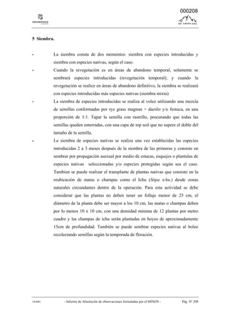 14-041 - Informe de Absolución de observaciones formuladas por el MINEN - Pág. Nº 208
5 Siembra.
- La siembra consta de dos momentos: siembra con especies introducidas y
siembra con especies nativas, según el caso.
- Cuando la revegetación es en áreas de abandono temporal, solamente se
sembrará especies introducidas (revegetación temporal); y cuando la
revegetación se realice en áreas de abandono definitivo, la siembra se realizará
con especies introducidas más especies nativas (siembra mixta)
- La siembra de especies introducidas se realiza al voleo utilizando una mezcla
de semillas conformadas por rye grass magnun + dactilo y/o festuca, en una
proporción de 1:1. Tapar la semilla con rastrillo, procurando que todas las
semillas queden enterradas, con una capa de top soil que no supere el doble del
tamaño de la semilla.
- La siembra de especies nativas se realiza una vez establecidas las especies
introducidas 2 a 3 meses después de la siembra de las primeras y consiste en
sembrar por propagación asexual por medio de estacas, esquejes o plantulas de
especies nativas seleccionadas y/o especies protegidas según sea el caso.
Tambien se puede realizar el transplante de plantas nativas que consiste en la
reubicación de matas o champas como el Ichu (Stipa ichu.) desde zonas
naturales circundantes dentro de la operación. Para esta actividad se debe
considerar que las plantas no deben tener un follaje menor de 25 cm, el
diámetro de la planta debe ser mayor a los 10 cm, las matas o champas deben
por lo menos 10 x 10 cm, con una densidad minima de 12 plantas por metro
cuadro y las champas de ichu serán plantadas en hoyos de aproximadamente
15cm de profundidad. También se puede sembrar especies nativas al boleo
recolectando semillas según la temporada de floración.
000208
 