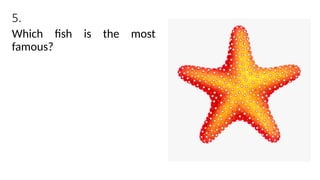 5.
Which fish is the most
famous?
 