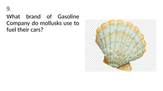 9.
What brand of Gasoline
Company do mollusks use to
fuel their cars?
 