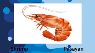 Shrimp Pasayan
 