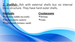 2. Shellfish- fish with external shells but no internal
bone structure. They have hard outer shells.
Mollusks
Univalves (edible sea snails)
Bivalves (clams, oysters)
Cephalopods (octopus, squid)
Crustaceans
Shrimps
Crabs
 