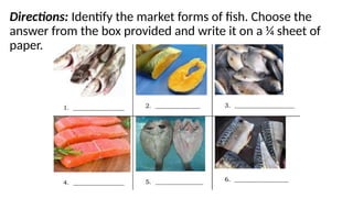 Directions: Identify the market forms of fish. Choose the
answer from the box provided and write it on a ¼ sheet of
paper.
 
